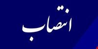 زلزله مدیریتی در کیش: سرپرست جدید معاونت فرهنگی ـ اجتماعی منصوب شد!