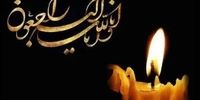 خبرفوری: موج تسلیت بی‌سابقه جامعه ورزش به خبرنگار محبوب! پشت پرده این اتفاق تلخ چیست؟