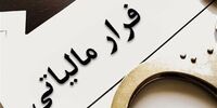 افشای راز پویایی بخش تعاون: ابزارهای مالی نوین، بازی را عوض می‌کنند؟