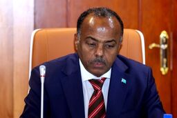 سومالی، کلید بنادرش را به آمریکا داد: واشنگتن بر شاخ آفریقا مسلط می‌شود؟