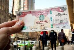 افزایش ناگهانی قیمت درهم امارات؛ سقوط آزاد ریال در راه است؟