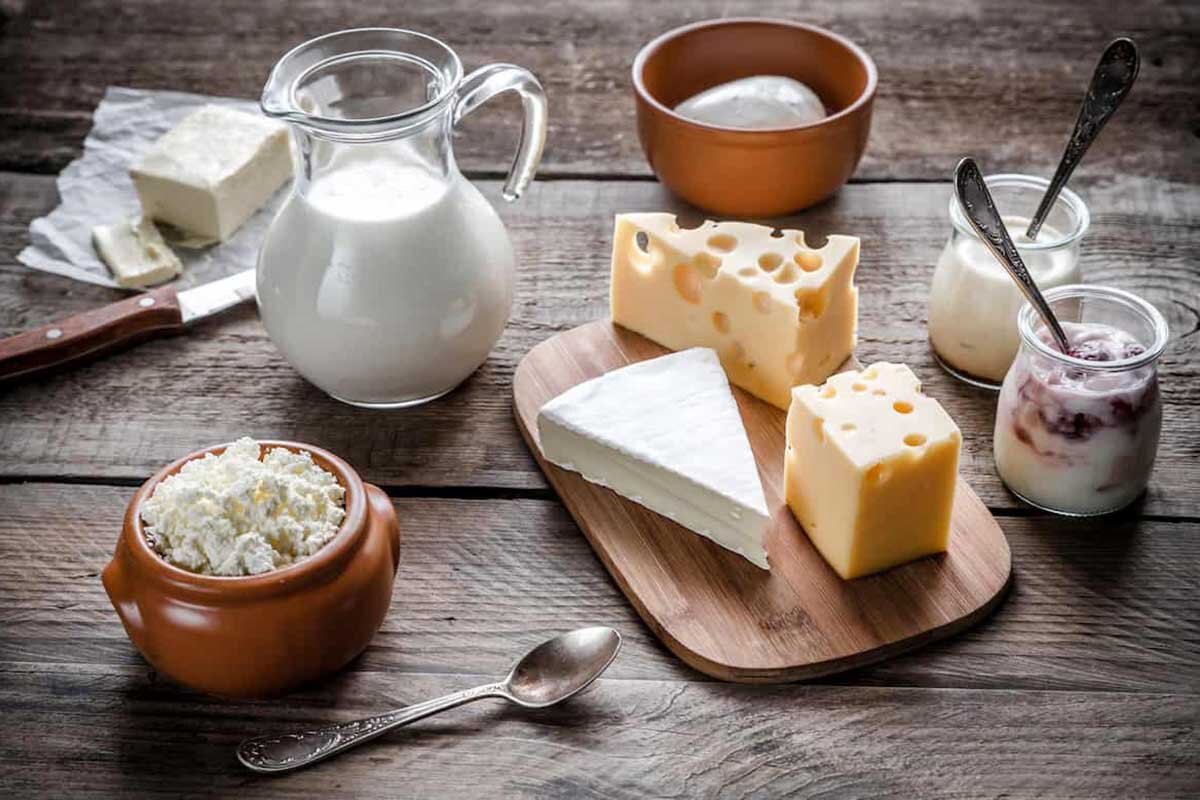 قید خرید ماست و شیر را بزنید / گرانی لبنیات در راه است؟ 