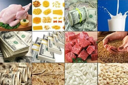 ارز ترجیحی: بازی دو سر باخت یا جیب‌بری از ملت؟