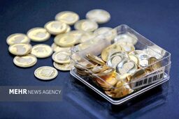 سقوط آزاد سکه و طلا در آذر: آیا حباب ترکید؟