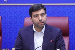 جنجال بزرگ: آژانس‌های جذب سرمایه‌گذاری خارجی در راهند! 