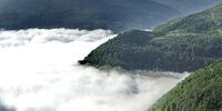 یک حادثه تلخ / دانشجوی یزدی ضربه مغزی شد