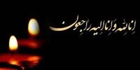 فوری /  فرزند رهبر معظم انقلاب در سلامت کامل است
