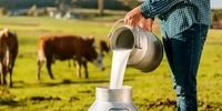 مهم‌ترین راهکارهای کاهش بروز تب مالت چیست؟