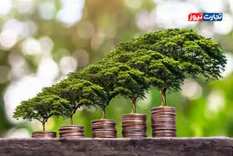 کلاهبرداری بزرگ یا ناجی سیاره؟ راز بازار ۵۸.۸ میلیارد دلاری اقتصاد سبز برملا شد!