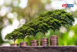 کلاهبرداری بزرگ یا ناجی سیاره؟ راز بازار ۵۸.۸ میلیارد دلاری اقتصاد سبز برملا شد!