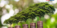شوک در مکزیک: آیا «اقتصاد سبز» آگوئاسکالینتس یک فریب بزرگ است؟