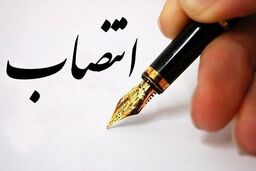 چه کسی ناجی بازار ارز می‌شود؟ دستیار ویژه رئیس کل منصوب شد!
