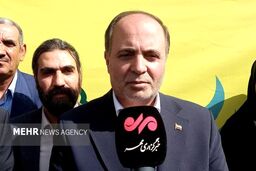 ریسک گرانی خوراک دام جدی است؟ وزیر چه گفت؟ ترخیص نهاده‌ها زیر ذره‌بین!