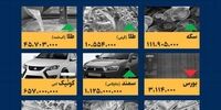 شوک هاشمی طبا: فاجعه اسراف انرژی از ایران مال تا حرم حضرت عبدالعظیم!