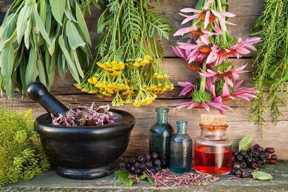 فریب یا فرصت؟ ادعای عطردرمانی در سیستان و بلوچستان!
