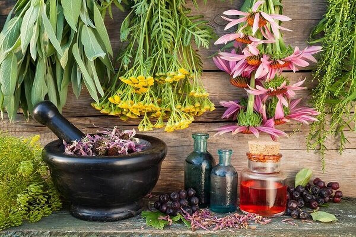 فریب یا فرصت؟ ادعای عطردرمانی در سیستان و بلوچستان!

