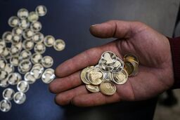 تقاضای هیجانی بازار را داغ داغ کرد