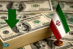 قیمت دلار رسما به کف خورد + علت