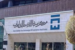 شوک بزرگ در بازار ارز: پتروشیمی‌ها با ارز خود به تالار دوم هجوم می‌آورند!