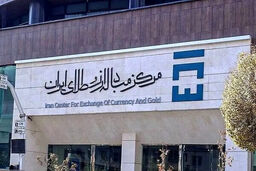 شوک بزرگ در بازار ارز: پتروشیمی‌ها با ارز خود به تالار دوم هجوم می‌آورند!