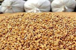 پس از حذف ارز ترجیحی: تسهیلات جدید، بار سنگین‌تر بر دوش کشاورزان!