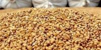 کابوس گرانی روغن بازگشت؟
