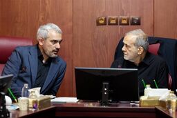غوغای وزیر اقتصاد: چرا حرف رئیس‌جمهور را گوش نمی‌کند؟ افشاگری درباره گمرکات و ایکس‌ری!