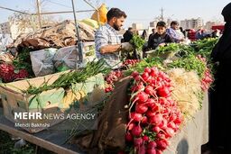 قیمت سبزیجات خورد شد: خیز بلند سرما در بازار!