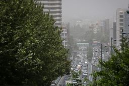 مقصران آلودگی هوا به جان هم افتادند