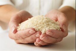برنج ایرانی طعمه تات شد! آیا پایان داستان سفره‌های ما رقم خورده است؟
