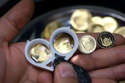 افشاگری سخنگوی دولت: حراج سکه؛ ابزار مخفیانه دولت برای کنترل غول نقدینگی!