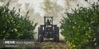 شوک بزرگ بودجه‌ای: اعتبارات دهیاری‌ها ۲.۵ برابر شد! روستاها آماده تحول؟