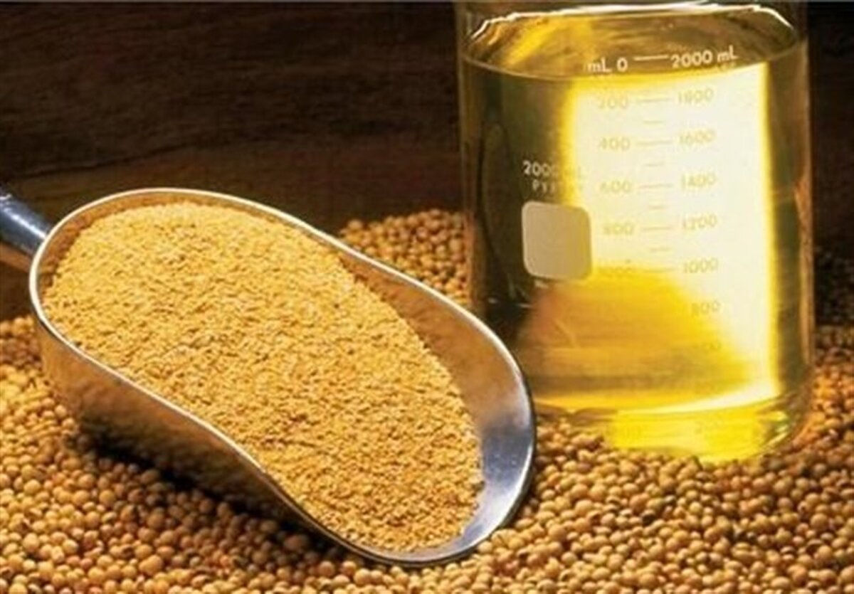 شوک به واردات! پیش‌بینی تولید 400 هزار تن دانه روغنی: آیا خودکفایی محقق می‌شود؟