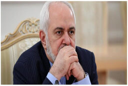 ظریف: اگر حمایت آقا نبود تکه بزرگ من گوشم بود