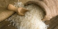 برنج ۳۰۰ هزار تومانی در راه است؟