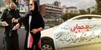 فضولات پرندگان بیشتر روی این خودروها پرتاب می‌شود
