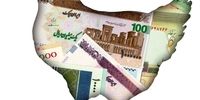 مرغ را از این قیمت بالاتر بخرید باختید!