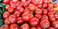 افزایش قیمت عجیب گوجه‌فرنگی در آمریکا!