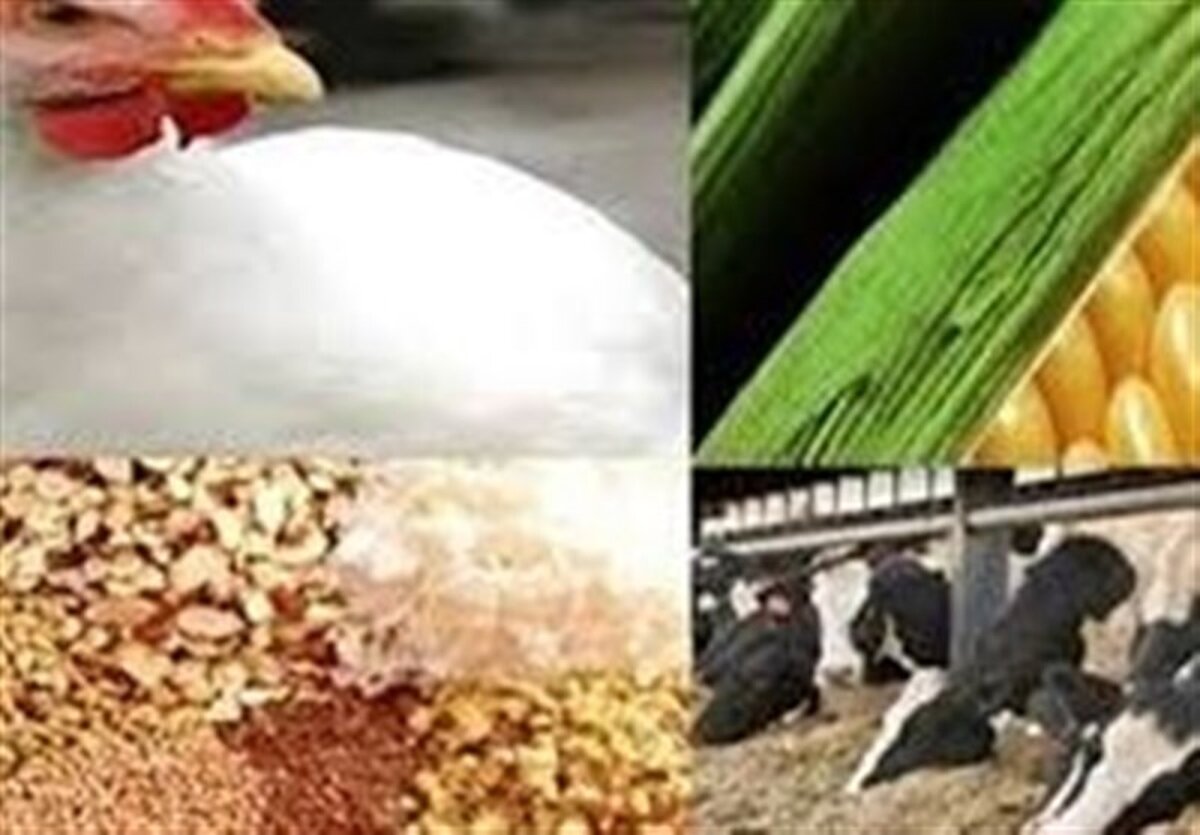 پشت پرده سهمیه دی نهاده‌ها: بازارگاه جولانگاه رانت‌خواران می‌شود؟