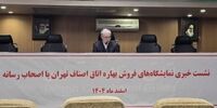 شوکه کننده: برنج پاکستانی ۱۵۱ هزار تومانی در نمایشگاه بهاره چه می‌کند؟