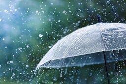 بارش تا ۳۳۷ میلی‌متر در برخی مناطق / کدام حوضه‌ها پرباران‌ترند؟