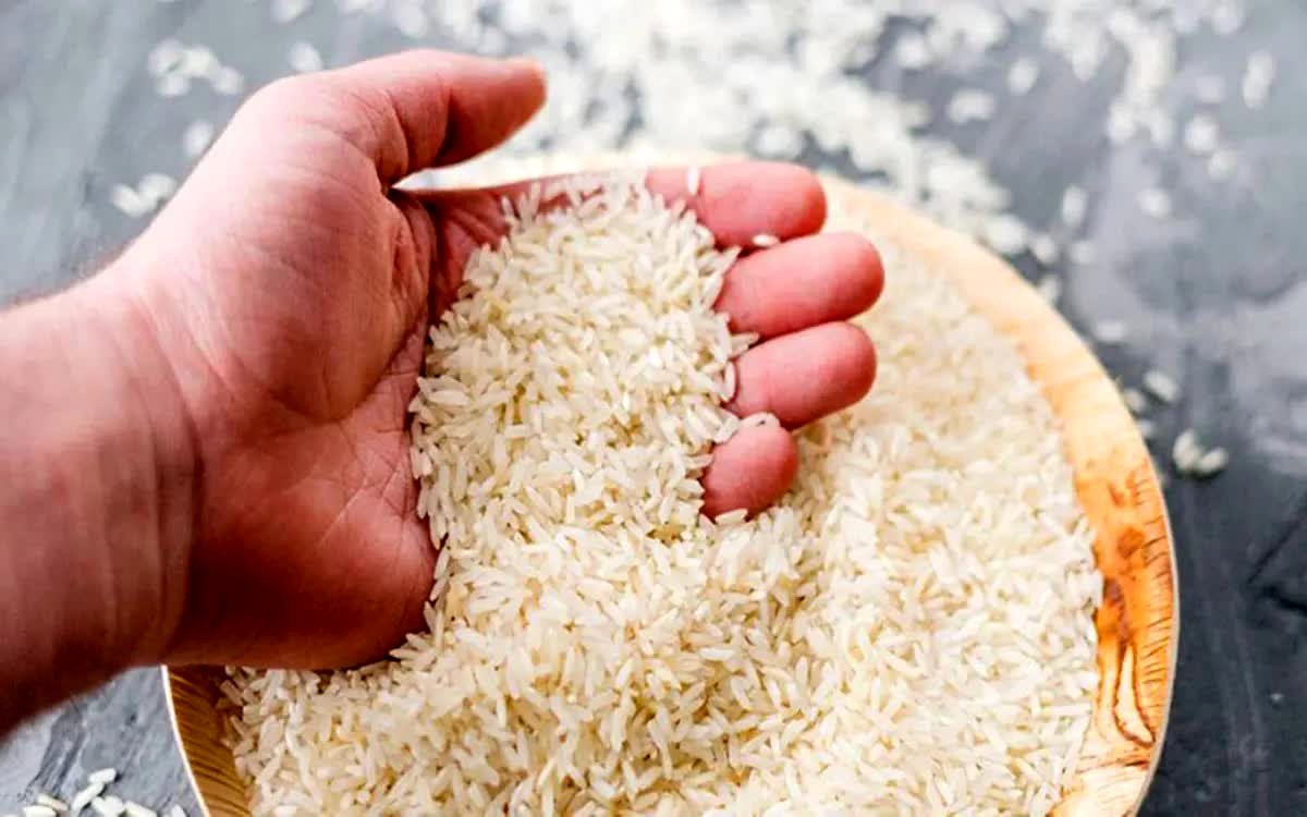 فاجعه در راه است! قیمت باورنکردنی برنج هندی و پاکستانی؛ سفره مردم خالی می‌شود؟