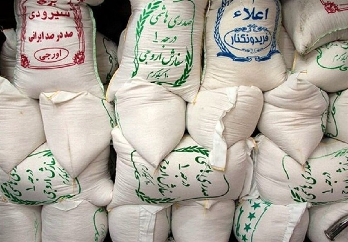 افشاگری تکان‌دهنده: برنج طارم ایرانی ۷ برابر شد! سفره مردم در خطر؟