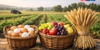فوری و تکان‌دهنده: سبزی و صیفی را از سفره‌هایتان بردارید! این خوراک جدید در راه است