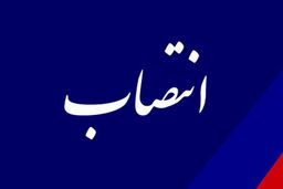 وزارت نفت در بحران: انتصاب جنجالی امین اموال در سایه سنگین فساد