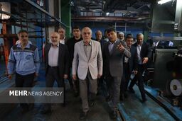 پروتئین سفره ایرانی در خطر! دولت ادعا کرد: ۳۵٪ از آبزیان تامین می‌شود، اما واقعیت تلخ است!