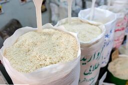 قیمت برنج از 150 هزار تومان سقوط می‌کند؟ وعده جنجالی تعزیرات: واردات قیمت را به 100 هزار تومان می‌رساند!
