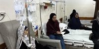 ویرانی ویرانگر در غزه: ۷۵ درصد درختان زیتون در آتش نسل‌کشی صهیونیستی سوختند