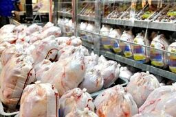 مرغ امروز ۲۰ آبان ۱۴۰۴: شوک قیمتی در بازار!