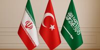سود هنگفت ترکیه از این محصول ایرانی 